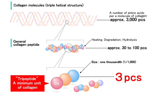 Tripeptidi i kolagjenit të peshkut 2