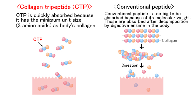 Tripeptidi i kolagjenit të peshkut 3