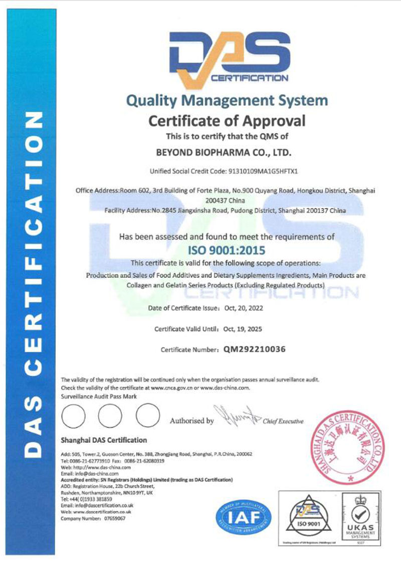Hloov kho BEYOND ISO9001