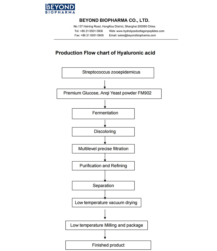 FLOW CHART of HYALURONIC ACID