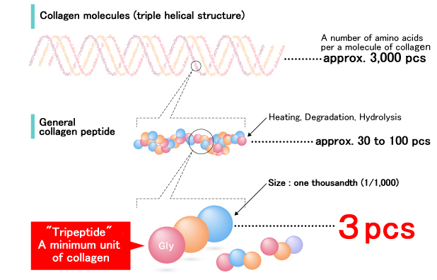 Fish Collagen Tripeptide2
