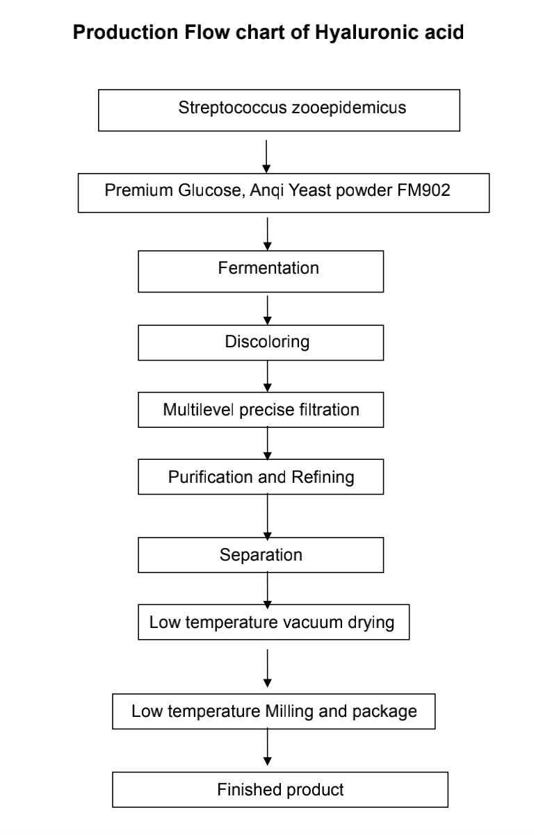 Manufacturing flow chart of Hyaluronic acid